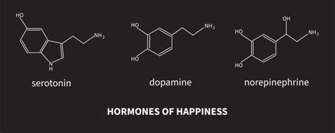 endorphins are similar to